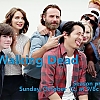 The_Walking_Dead___Comic-con_201421_Andrew_Lincoln21Norman_Reedus21_Danai_Gurira21_0590.jpg